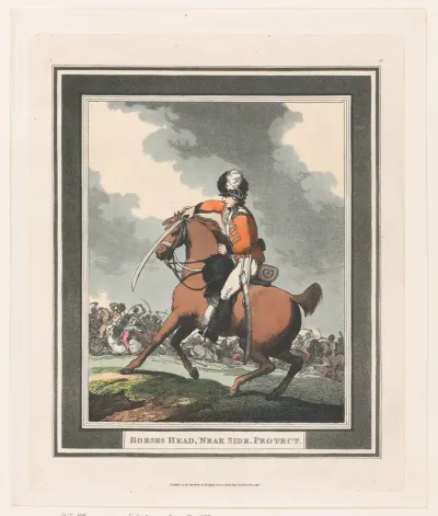 Horses Head, Near Side, Protect