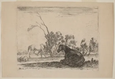 Horses in a Pasture