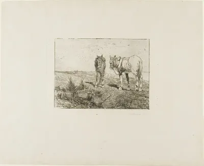 Horses' Rest