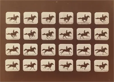 Horses. Running. Phyrne L. No. 40