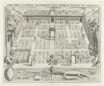 Hortus Botanicus van de Universiteit Leiden