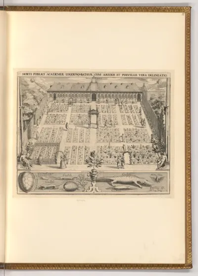 Hortus Botanicus