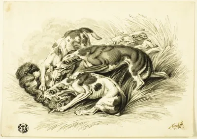 Hounds with Fox