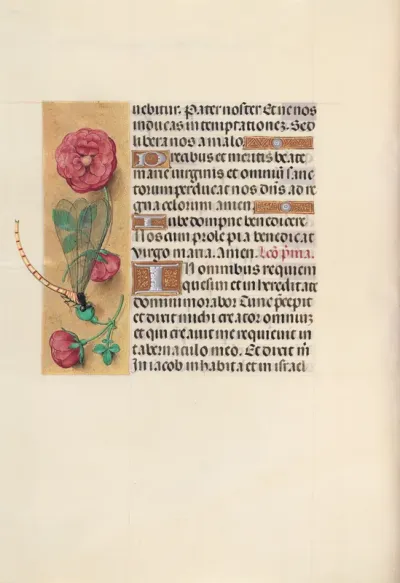 Hours of Queen Isabella the Catholic, Queen of Spain: Fol. 110v