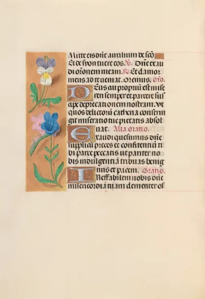 Hours of Queen Isabella the Catholic, Queen of Spain: Fol. 216v