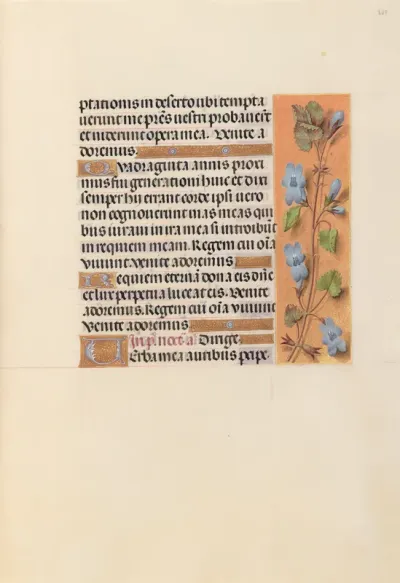 Hours of Queen Isabella the Catholic, Queen of Spain: Fol. 227r