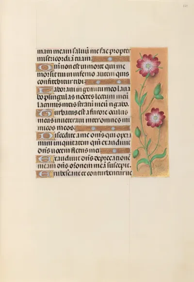 Hours of Queen Isabella the Catholic, Queen of Spain: Fol. 229r