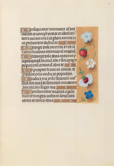 Hours of Queen Isabella the Catholic, Queen of Spain: Fol. 230r