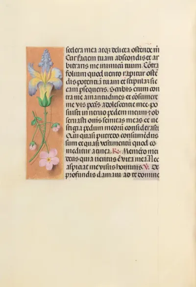 Hours of Queen Isabella the Catholic, Queen of Spain: Fol. 237v