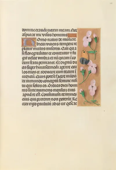 Hours of Queen Isabella the Catholic, Queen of Spain: Fol. 238r