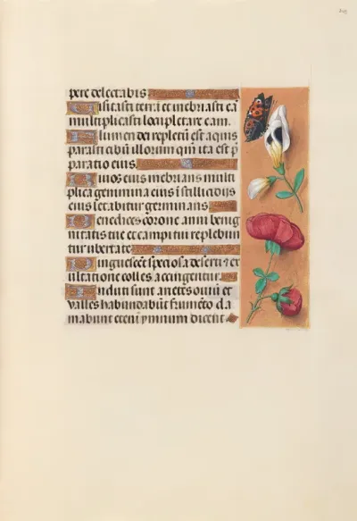 Hours of Queen Isabella the Catholic, Queen of Spain: Fol. 249r