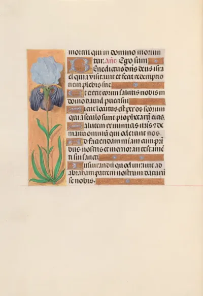 Hours of Queen Isabella the Catholic, Queen of Spain: Fol. 254v