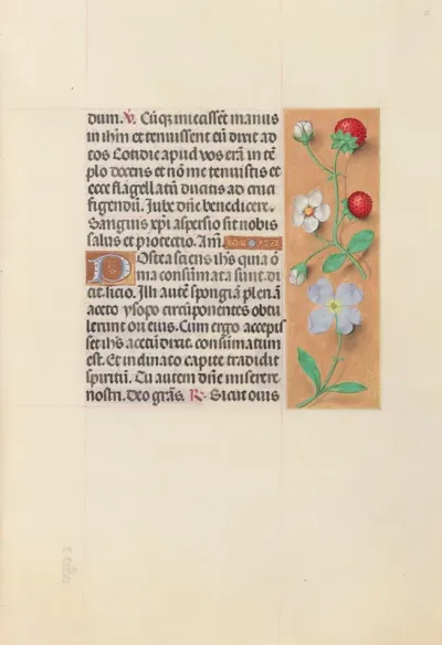 Hours of Queen Isabella the Catholic, Queen of Spain: Fol. 55r