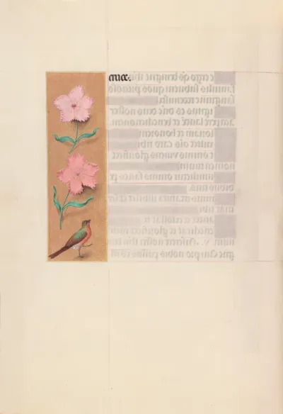 Hours of Queen Isabella the Catholic, Queen of Spain: Fol. 56v