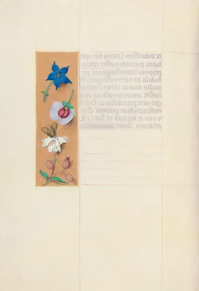 Hours of Queen Isabella the Catholic, Queen of Spain: Fol. 71v