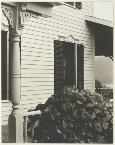 House and Grape Leaves