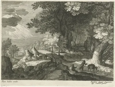 Houten brug in een boslandschap