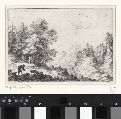 Houthakker aan het werk in een bergachtig landschap