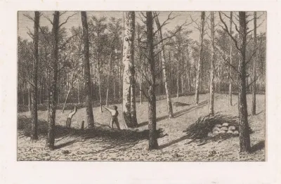 Houthakkers werken in het bos