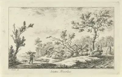 Houtsprokkelaar