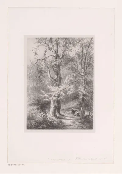 Houtsprokkelaars in het bos