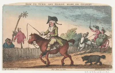 How to Turn Any Horse, Mare, or Gelding