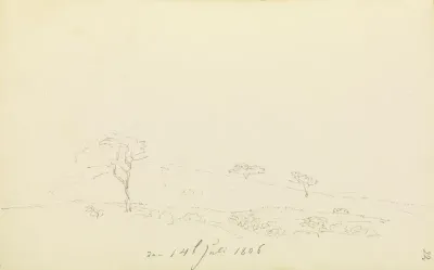 Hügellandschaft mit Weg und drei Bäumen