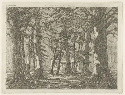 Huis in het bos