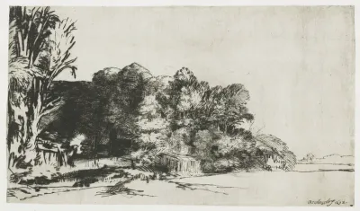 Huis verscholen tussen bomen