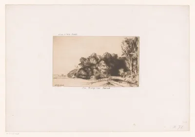 Huis verscholen tussen bomen