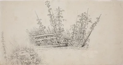 Humalatarhaa