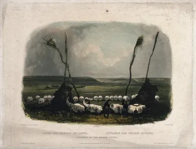 Human and animal skulls placed on the ground as offerings by the Mandan Indians of North America