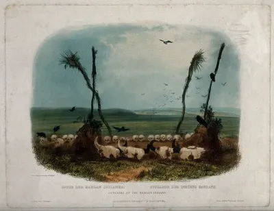 Human and animal skulls placed on the ground as offerings by the Mandan Indians