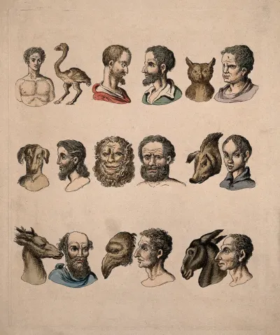 Human physiognomies next to animal physiognomies, showing the relations between certain of the species