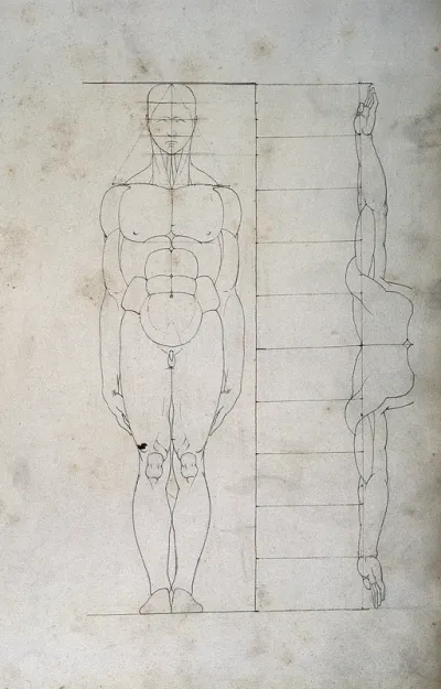 Human proportions: two figures