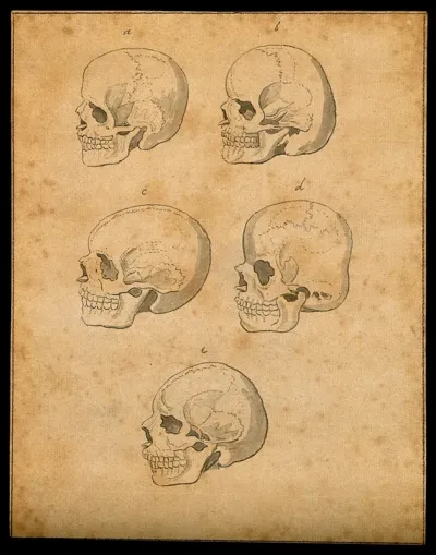 Human skulls: five figures