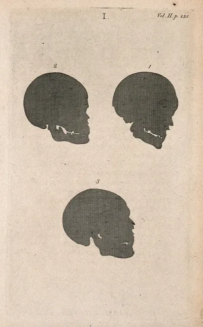 Human skulls in silhouette: four figures