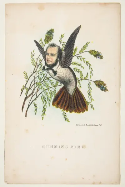 Humming Bird (Thomas B. Florence), from "The Comic Natural History of the Human Race"