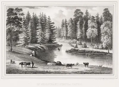 Humppila Woodlands, illustration for Finland Depicted in Drawings, booklets XXIV-XXVII