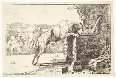 Hund ved en fontæne