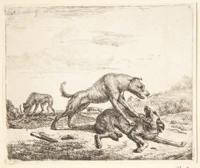 Hunde i slagsmål