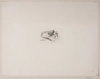 Hundehoved