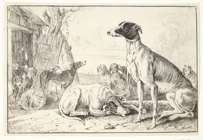 Hundekennel