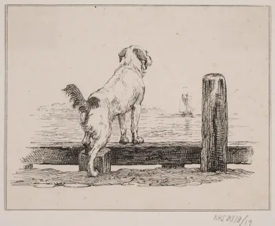 Hunden ved stranden