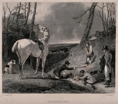 Hunters and hounds attempt to dig a fox out of its set in the ground; a horse chews leaves on a tree