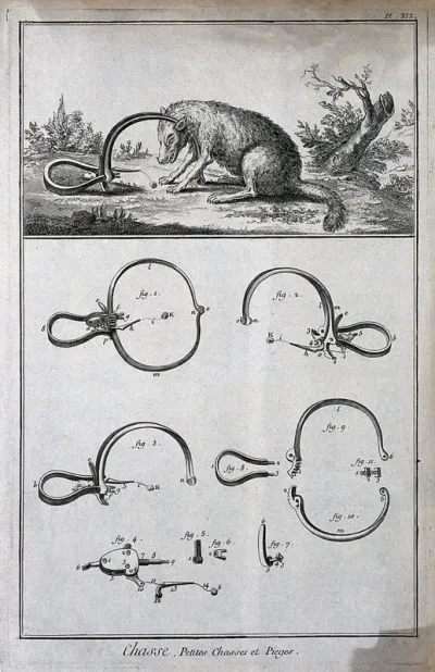 Hunting: a wolf, with its head caught in a trap (above), and details of the trap (below) Engraving, c.1762, by B.-L