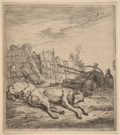 Hunting Dogs
