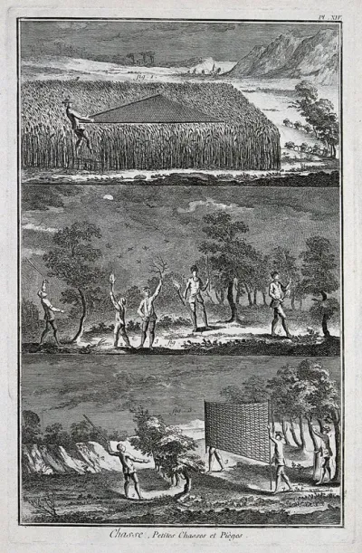 Hunting: nets for catching ground birds, and hunting at night with torches
