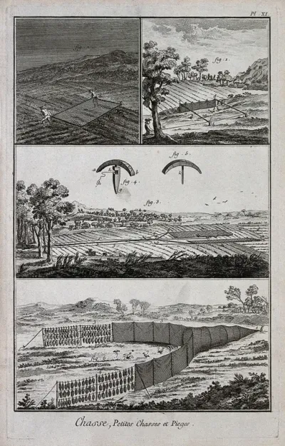 Hunting: nets for catching ground birds