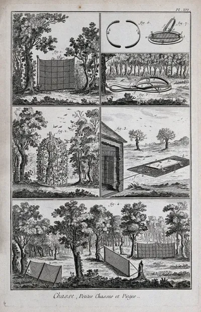 Hunting: nets for catching ground-feeding birds, and a wolf-trap (?) Engraving, c.1762 by B.-L